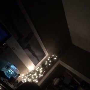 Meet your Posher, Bo